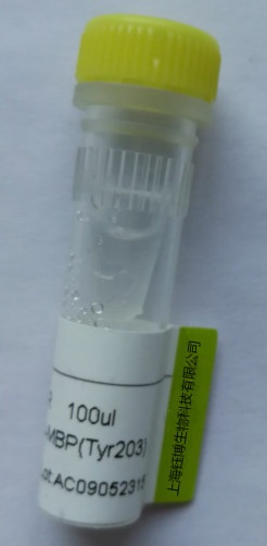 PTPRZ1 Antibody