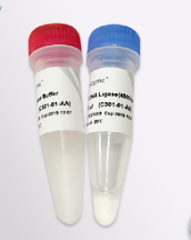 pcDNA3.1-N-GST-TEV