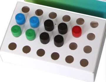 禽波氏杆菌 PCR试剂盒