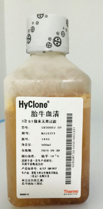 Hyclone血清（新生牛）