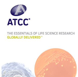弗氏耶尔森菌ATCC 33641