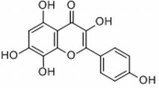 草质素,分析标准品,HPLC≥98%