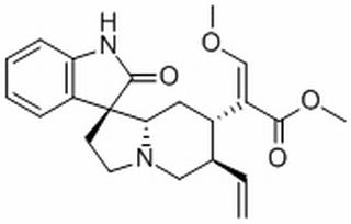 异去氢钩藤碱，分析标准品,HPLC≥98%