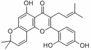 桑辛素，分析标准品,HPLC≥98%