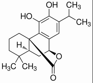 鼠尾草酚，分析标准品,HPLC≥98%