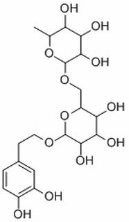 连翘酯苷E，分析标准品,HPLC≥98%