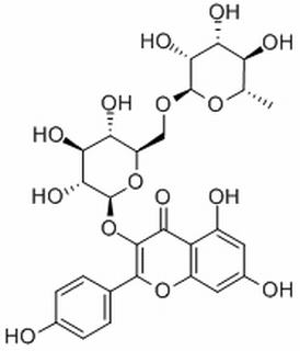 山柰酚-3-O-芸香糖苷，分析标准品,HPLC≥98%