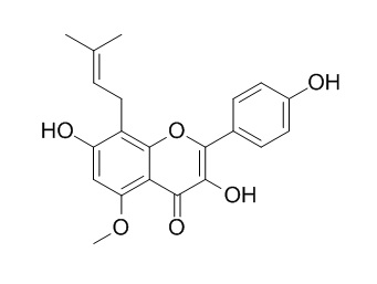 槐黄醇，分析标准品,HPLC≥98%