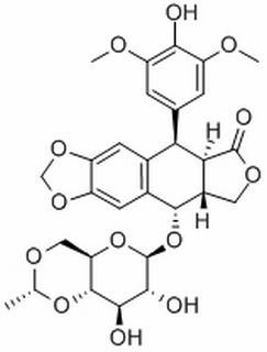 依托泊苷,分析标准品,HPLC≥98%