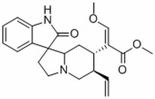 去氢钩藤碱，分析标准品,HPLC≥98%