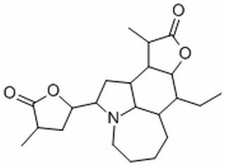 新对叶百部碱，分析标准品,HPLC≥98%