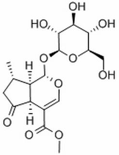 山茱萸苷，分析标准品,HPLC≥98%