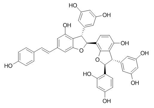 大子买麻藤乙素，分析标准品,HPLC≥95%