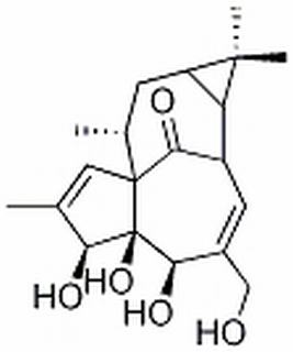 巨大戟醇，分析标准品,HPLC≥98%