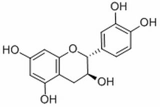 (+)-儿茶素，分析标准品,HPLC≥98%