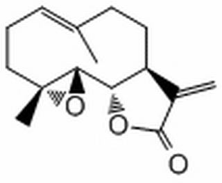 小白菊内酯，分析标准品,HPLC≥98%