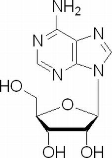 腺苷，分析标准品,HPLC≥99%