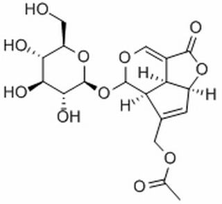 车叶草苷，分析标准品,HPLC≥98%