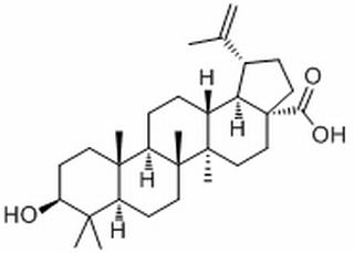 表白桦脂酸，分析标准品,HPLC≥99%