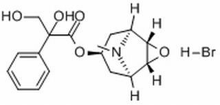 氢溴酸樟柳碱，分析标准品,HPLC≥98%