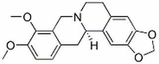 四氢小檗碱，分析标准品,HPLC≥98%