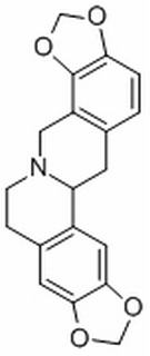 四氢黄连碱，分析标准品,HPLC≥98%