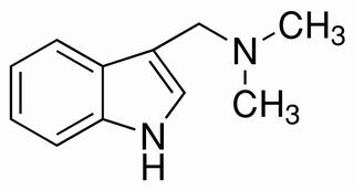 芦竹碱，分析标准品,HPLC≥98%