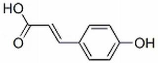 对羟基肉桂酸，分析标准品,HPLC≥98%