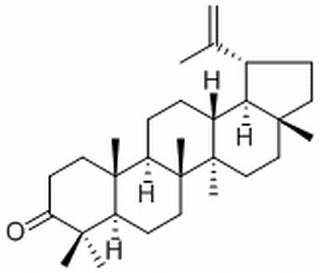 羽扇烯酮，分析标准品,≥98%