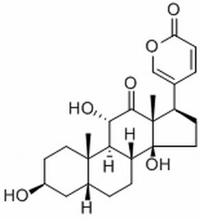 沙蟾毒精，分析标准品,HPLC≥98%