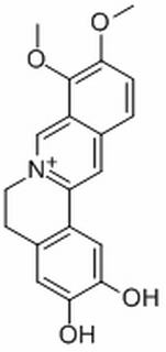 去亚甲基小檗碱，分析标准品,HPLC≥96%