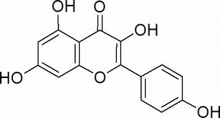 山奈酚，分析标准品,HPLC≥98%