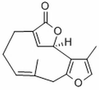 钓樟内酯，分析标准品,HPLC≥98%