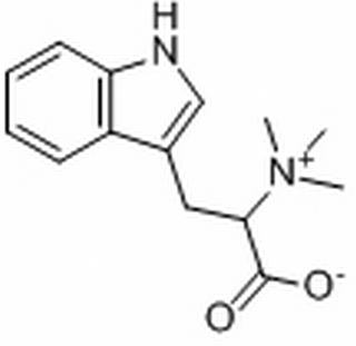 刺桐碱，分析标准品,HPLC≥98%