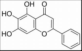 黄芩素，分析标准品,HPLC≥98%