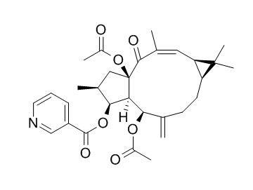 大戟因子L8，分析标准品,HPLC≥95%