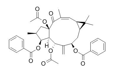 大戟因子L2,分析标准品,HPLC≥95%