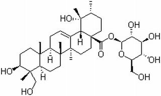 具栖冬青苷，分析标准品,HPLC≥98%