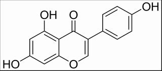 染料木素，分析标准品,HPLC≥98%