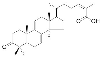 灵芝酸SZ，分析标准品,HPLC≥98%