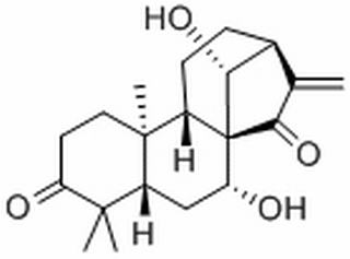 蓝萼甲素，分析标准品,HPLC≥98%