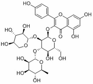 山茶甙B，分析标准品,HPLC≥98%