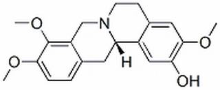 四氢非洲防己碱，分析标准品,HPLC≥95%