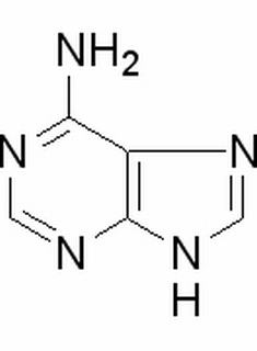 腺嘌呤，分析标准品,HPLC≥98%