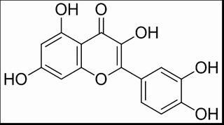 槲皮素，分析标准品,HPLC≥98%