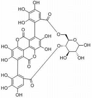 石榴皮鞣素，分析标准品,HPLC≥98%