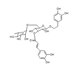 连翘酯苷I，分析标准品,HPLC≥95%