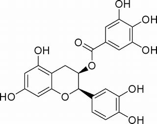 表儿茶素没食子酸酯,分析标准品,HPLC≥98%
