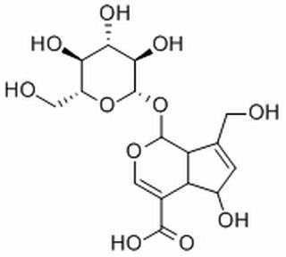 去乙酰车叶草苷酸，分析标准品,HPLC≥98%