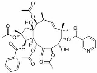 Jatrophane 5，分析标准品,HPLC≥98%